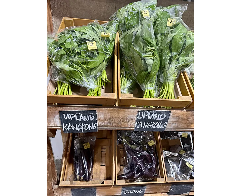 カビテ州アマデオ町にある野菜直売所の様子２