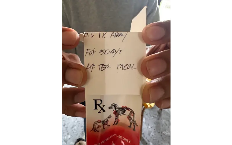 ローコストカポンで処方（？）された痛み止め。