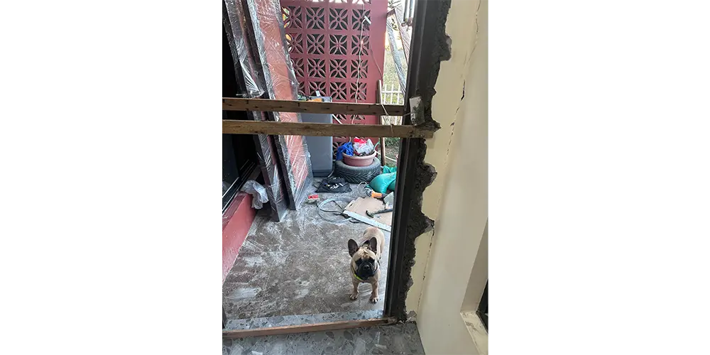 とりあえずドア枠がつけられました。不安そうな犬。