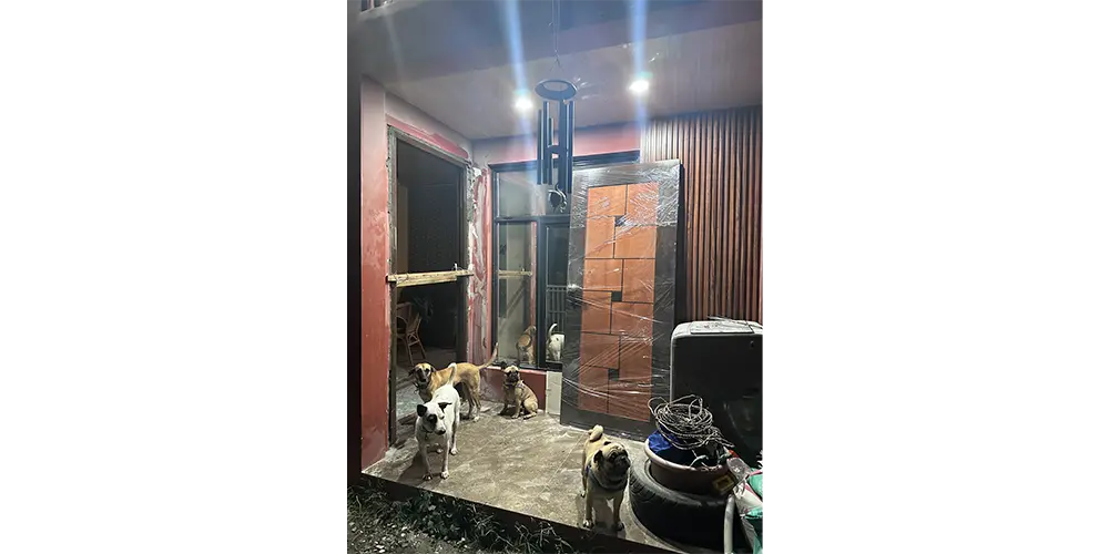 ドア修理、1日目の夜。犬たちがとにかく不安そう…