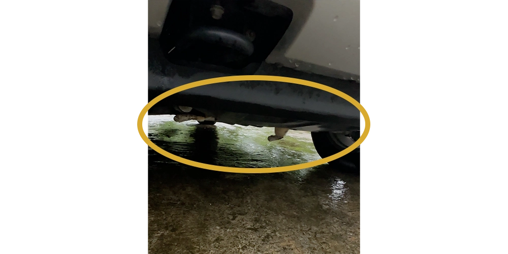 近所の車に挟まって出れなくなった様子。車体から足が見えている。