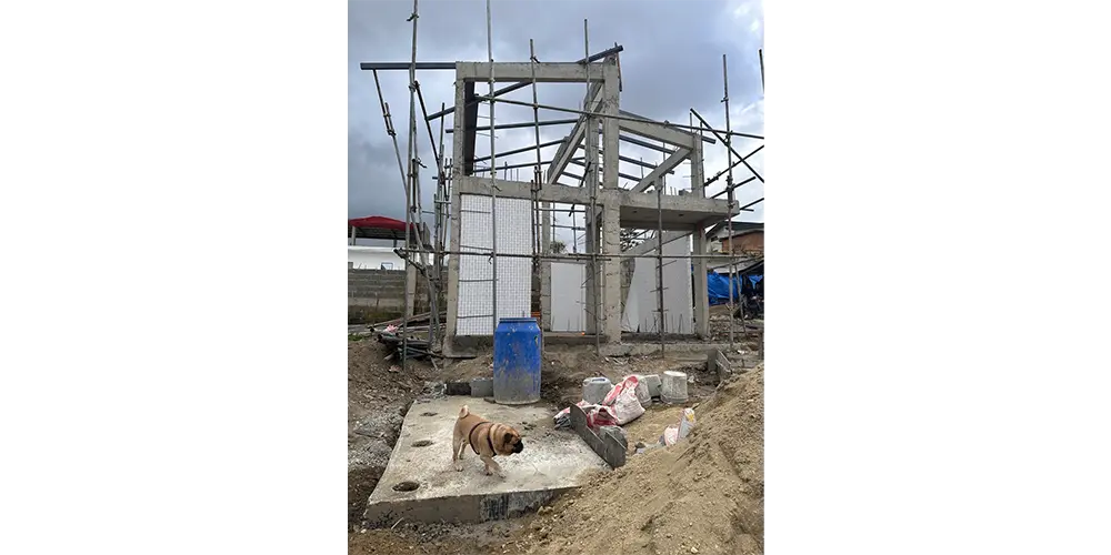 ご近所からは「発泡スチロールで家を作ってて予算削減のつもりだろうか」と噂されていた。