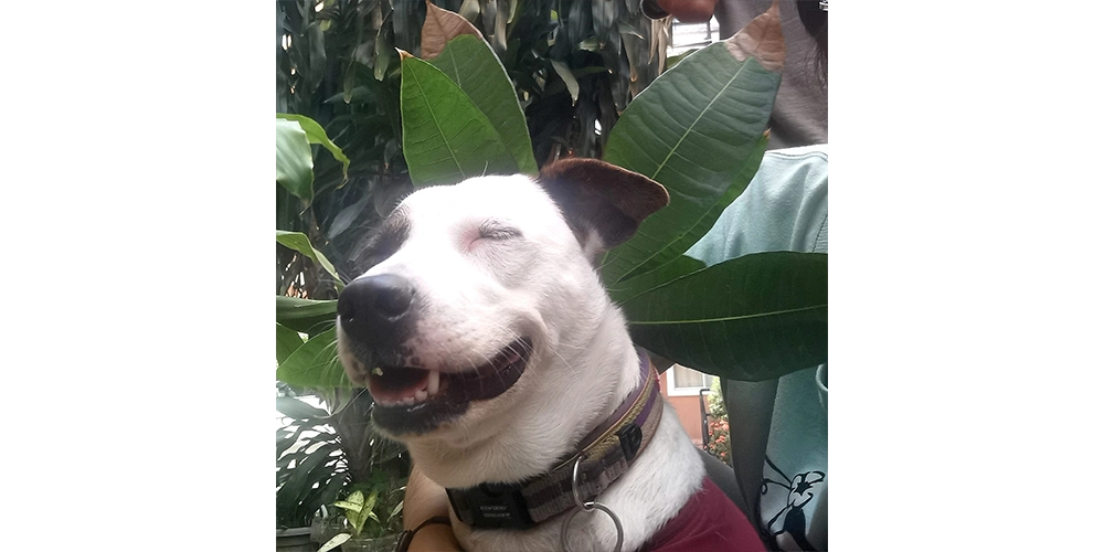 Happy smile. She can smile very well.
