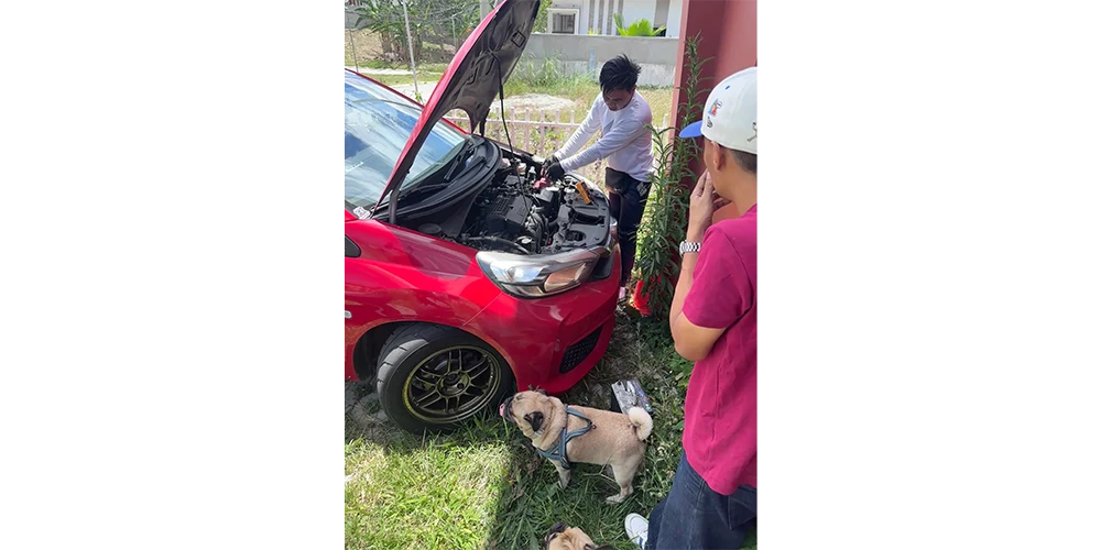 バッテリーを設置してくれているお兄さんと、家から出てきてしまった犬たち。