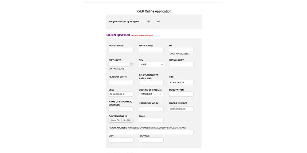 Client/Payorフォームのスクリーンショット